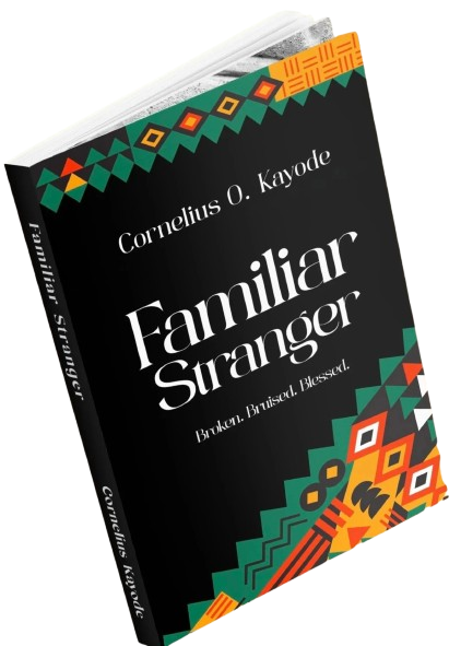 Familiar Stranger Book Cover