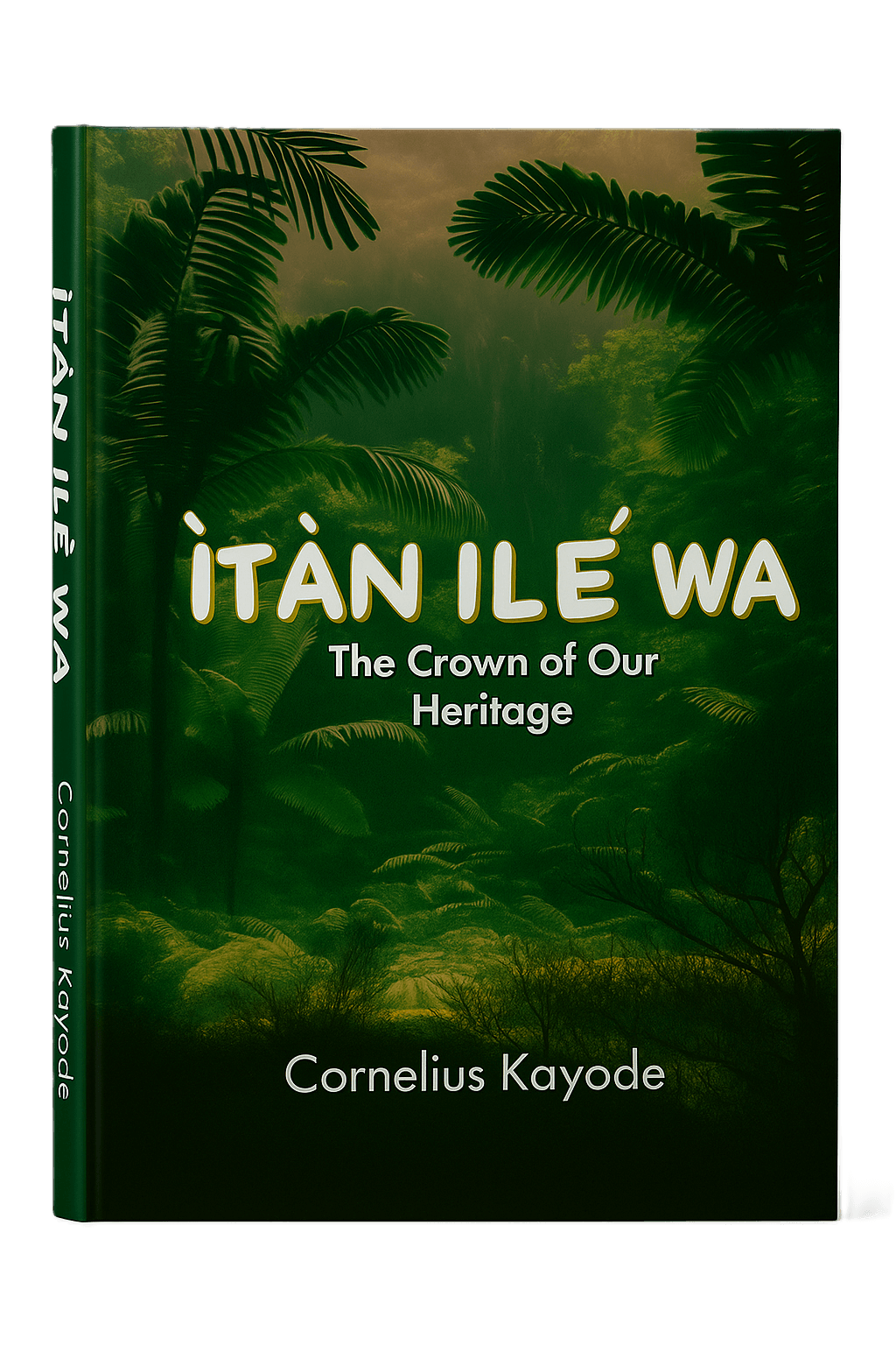 ÌTÀN ILÉ WA Book Cover Placeholder